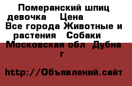 Померанский шпиц девочка  › Цена ­ 50 000 - Все города Животные и растения » Собаки   . Московская обл.,Дубна г.